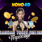 Togel 4D 10 Juta: Panduan dan Peluang Kemenangan